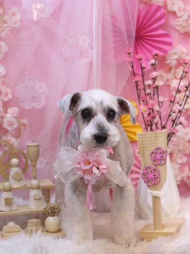 20250301ボルトくん